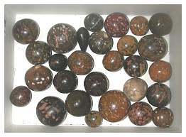 17 Bill Blazek's polished Sea Coconuts (Golf Balls).JPG
